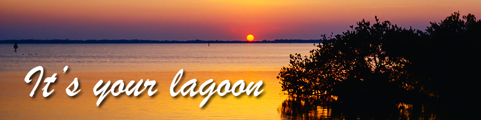 It's your lagoon