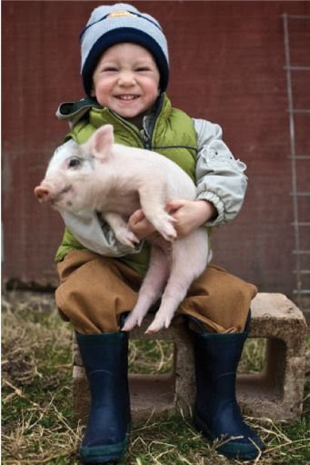 Little boy with pig