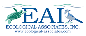EAI.banner.logo