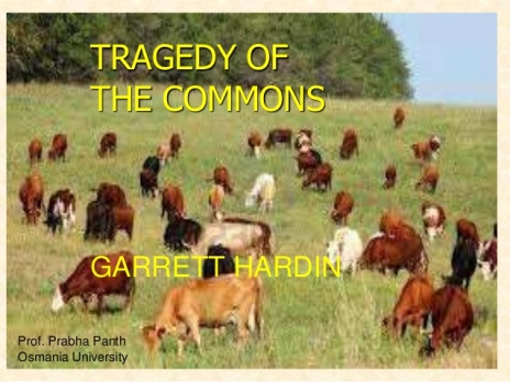 tragedy-of-the-commons-1-638