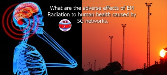 Cell-Phone-Radiation-1