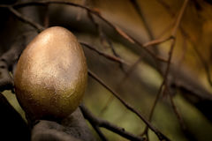 golden-easter-egg-tree-branch-one-sitting-dark-background-90253149